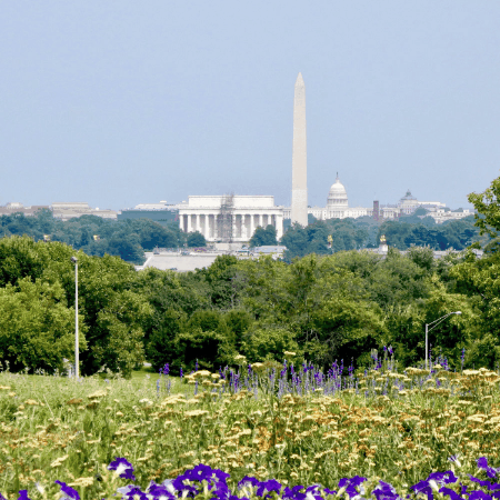 Solidarity Center GIF