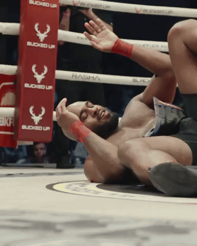 BKFC GIF