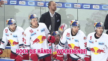 hands up harris GIF by EC Red Bull Salzburg