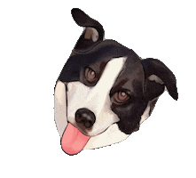 Swipe Up Youtube Sticker by Whiskey and Water Podcast