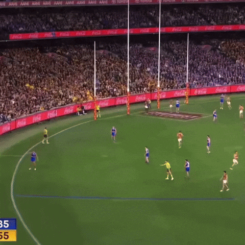 Hawthorn Hawks GIF