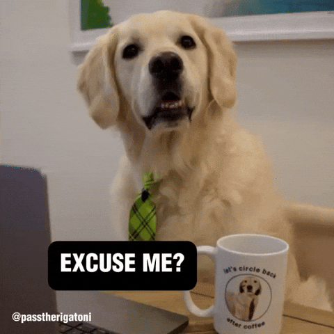 Confused Excuse Me GIF by Rigatoni