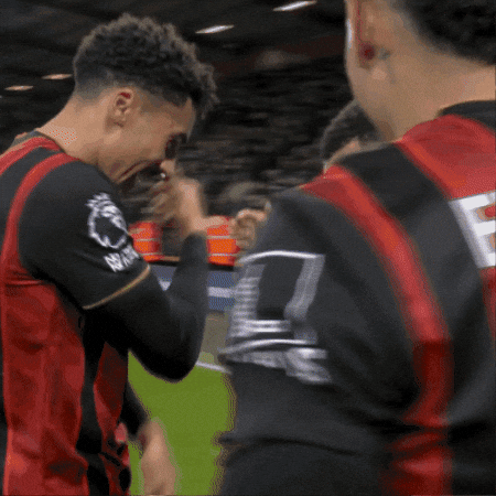 High Five Premier League GIF by AFC Bournemouth