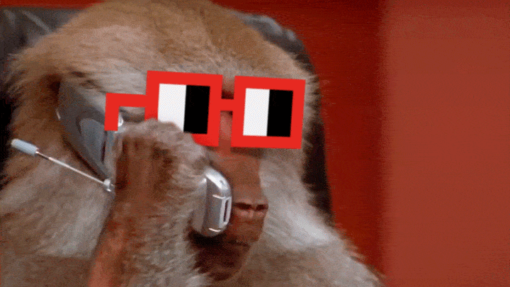 Monkey-animal GIFs - Get the best GIF on GIPHY