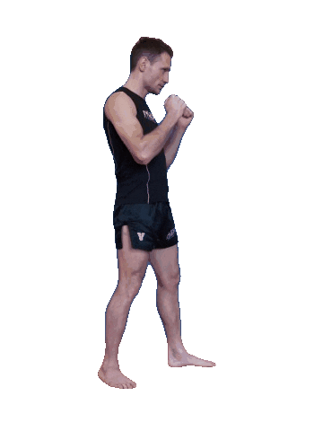 LesakFightTeam Sticker