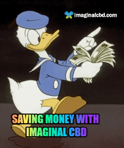 Donald Duck Love GIF by Imaginal Biotech