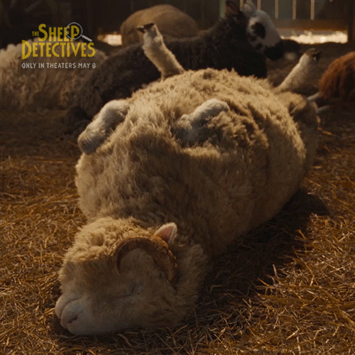 The Sheep Detectives GIF