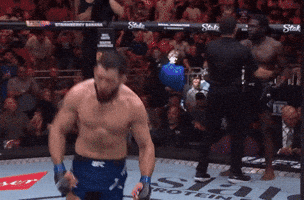 Fight Ufc GIF by promaslist