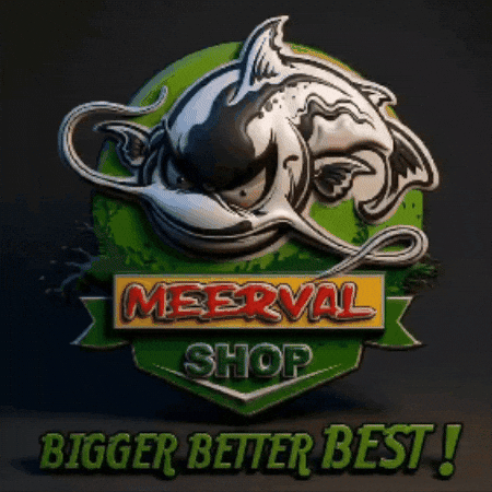 Black Cat Tomcat GIF by meerval.shop