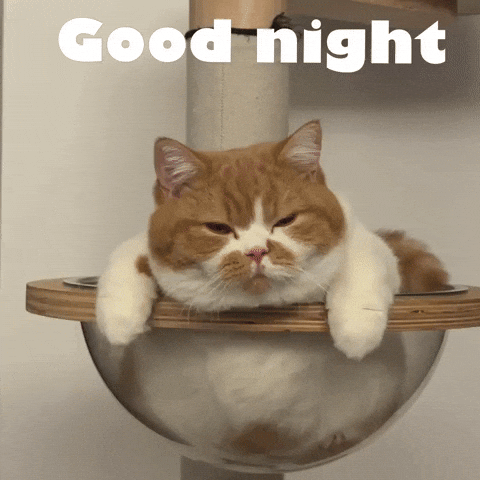 Good Night Sleep GIF