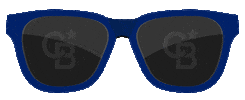 Real Estate Sunglasses Sticker by Coldwell Banker Empire Realty