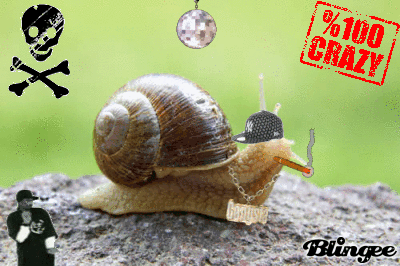 snail