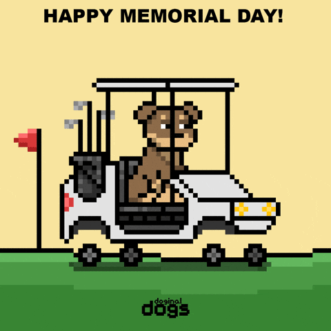 Do It Yes GIF by Doginal Dogs