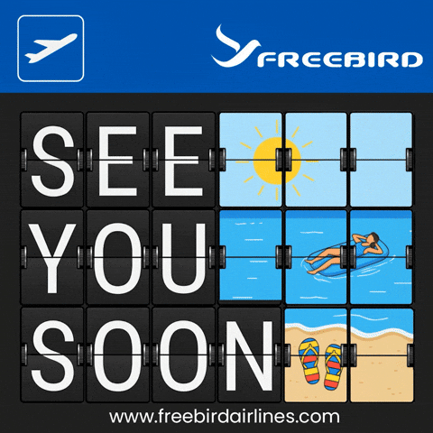 Take Off Swimming GIF by Freebird Airlines