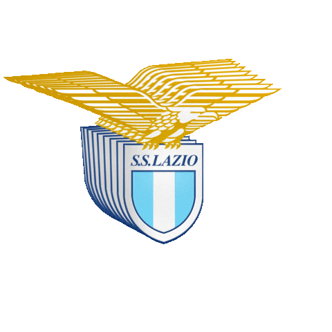 Serie A Calcio Sticker by LazioPress.it