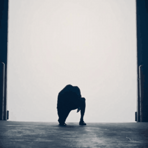 GIF by Jukebox Saints
