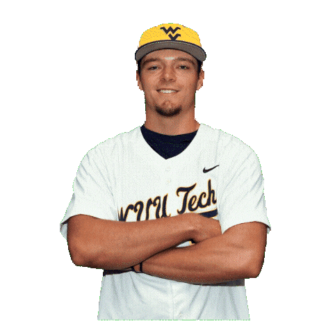 Baseball Sticker by WVU Tech Golden Bears