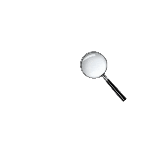 Open Water Bubbles Sticker by Blue Corner Dive Bali