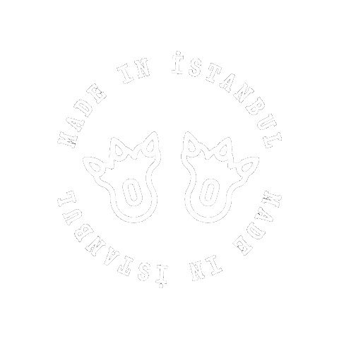 Istanbul Sticker by Ba'ndo