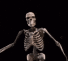 Laugh Banging GIF
