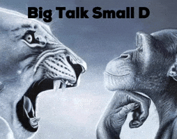 Big Talk Small D GIF