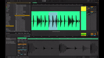 Audio GIF