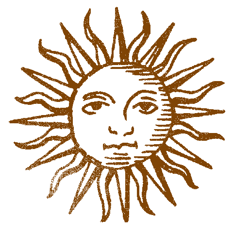 Sun Sunshine Sticker by Billabong Womens