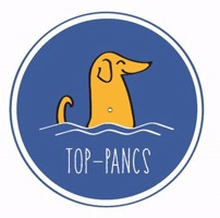 Top-Pancs GIF