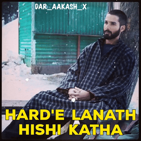 Kashmir Haider GIF