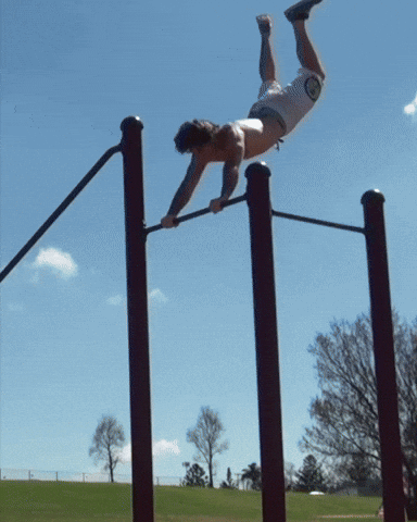 King Flip GIF