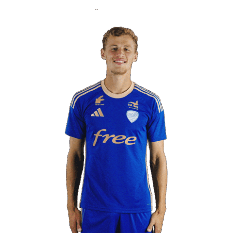 Creteil Sticker by US Créteil Lusitanos_officiel