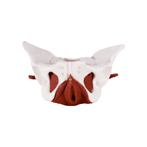 Sticker by GLÜCKSMAMA