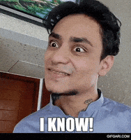 Yes I Know GIF by GifGari