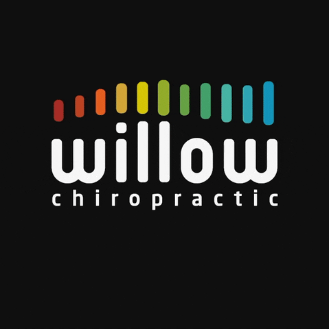 WillowChiropractic willow chiropractic chiropractors willow chiropractic GIF