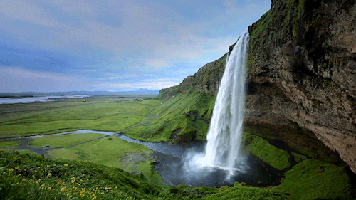 icelander meaning, definitions, synonyms