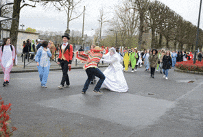 Carnaval GIF