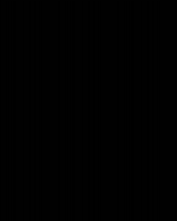 WFTDA GIF