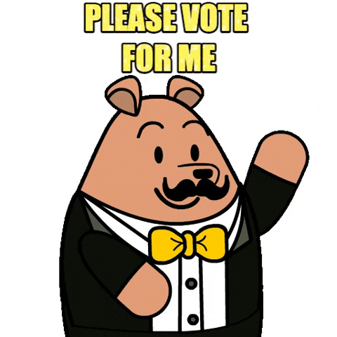Voting Vote For Me GIF