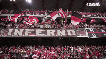 Fans Jpl GIF by Standard de Liège