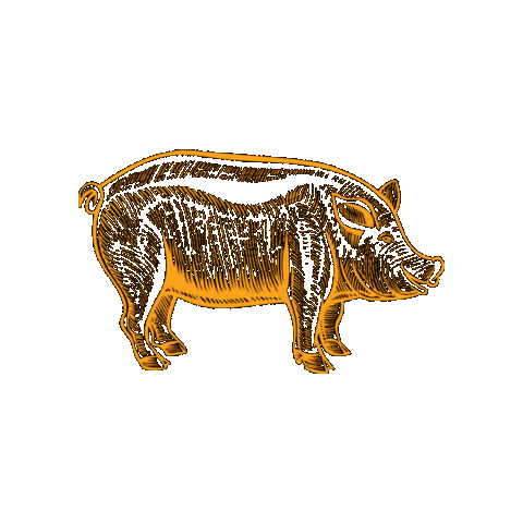 City of Kennesaw Sticker