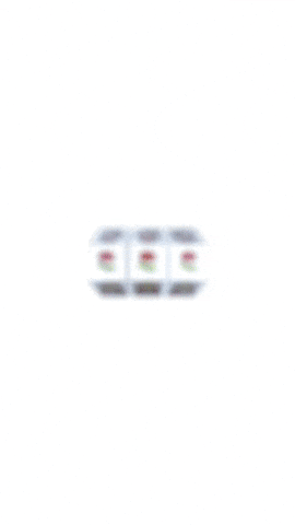 Sant Jordi GIF
