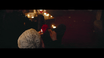 fire rose GIF by Amir Obe