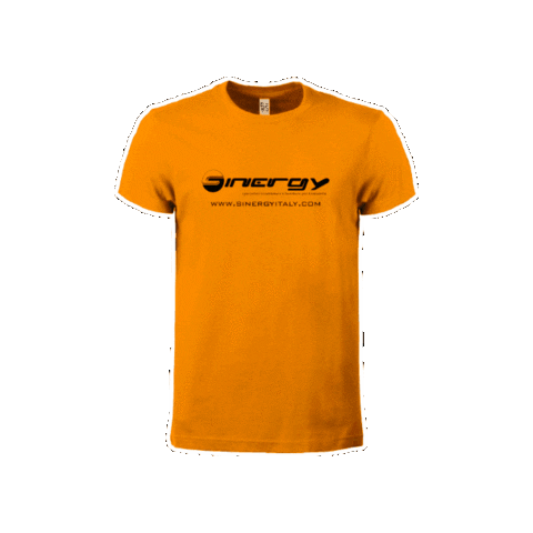 Sinergy Sticker