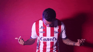 Sanluis Adsl GIF by Atlético de San Luis