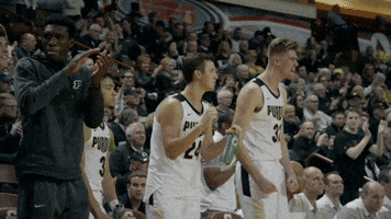 Lets Go Yes GIF by Purdue Sports