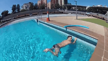 isivaqueiro  GIF