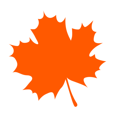 Fall Autumn Sticker by SUN Education Group