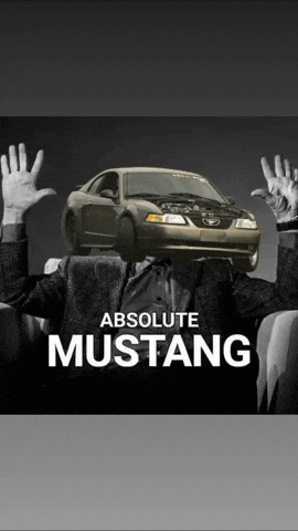 Absolutecinema GIF