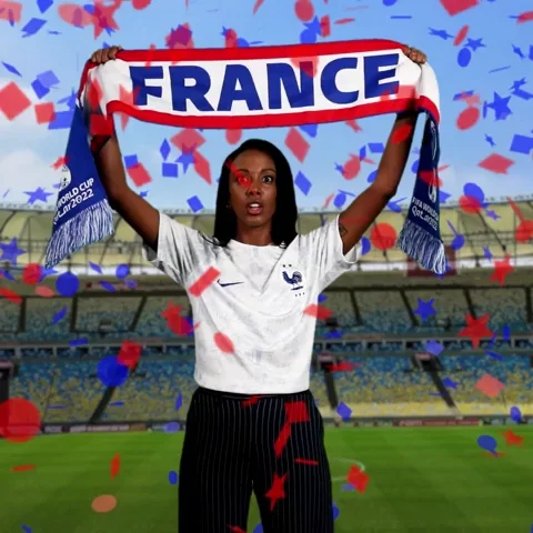 France Futbol GIF