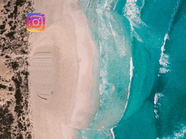 200.gif?cid=fc005b0822bc9ed78454221193892f7961d80b90fa1ac798&rid=200.gif&ct=g